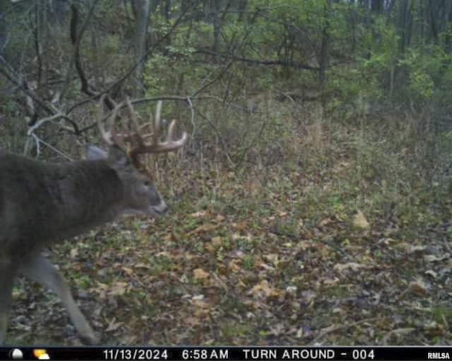 0000 W Timber Rd, Mapleton, IL 61547