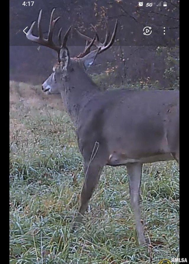 0000 W Timber Rd, Mapleton, IL 61547