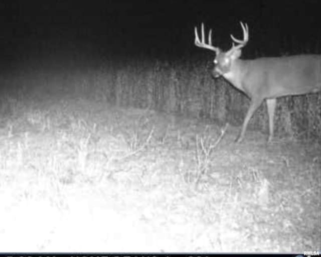 0000 W Timber Rd, Mapleton, IL 61547