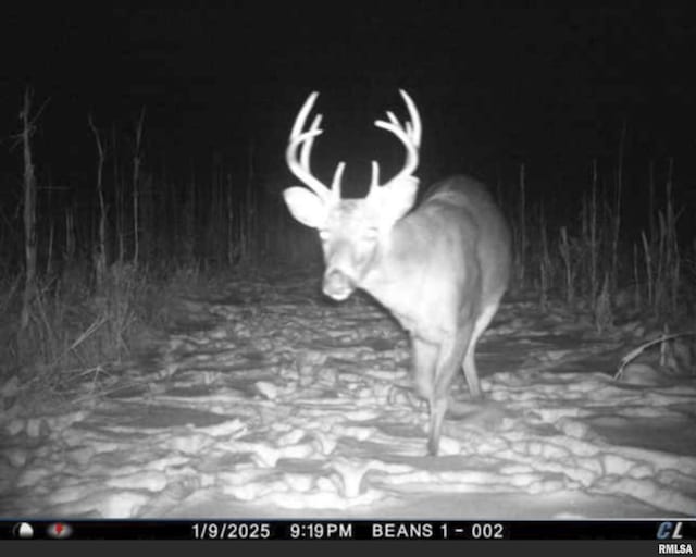 0000 W Timber Rd, Mapleton, IL 61547