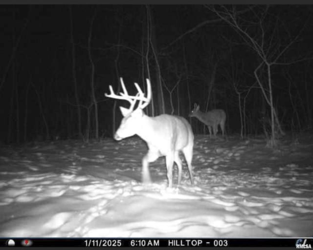 0000 W Timber Rd, Mapleton, IL 61547