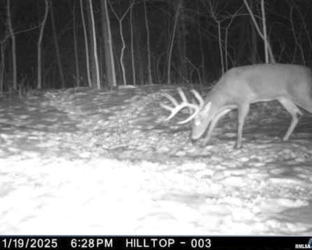 0000 W Timber Rd, Mapleton, IL 61547