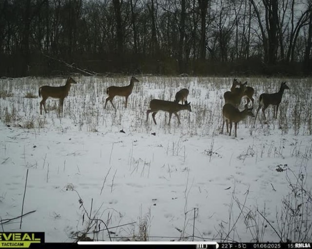 0000 W Timber Rd, Mapleton, IL 61547