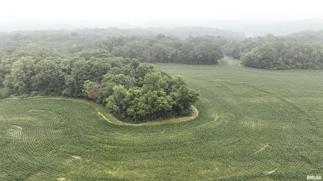 0000 W Timber Rd, Mapleton, IL 61547