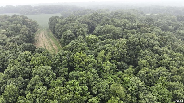 0000 W Timber Rd, Mapleton, IL 61547