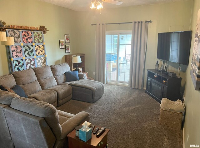 118 Edlen Ln, Jacksonville, IL 62650 - photo 22