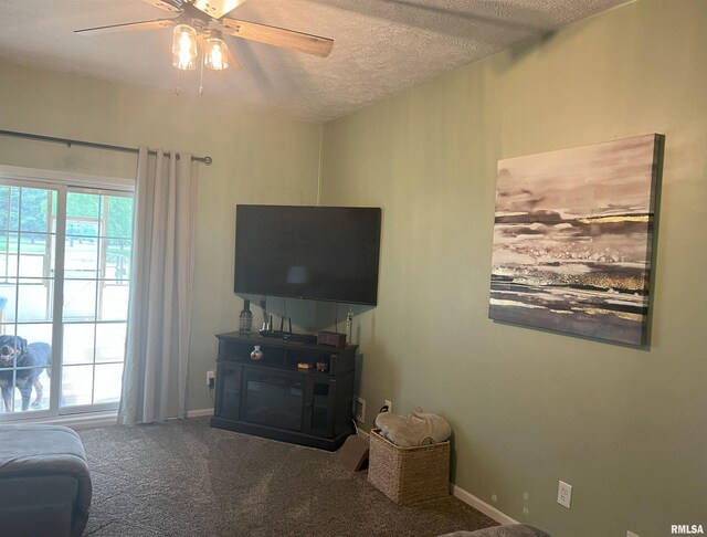 118 Edlen Ln, Jacksonville, IL 62650 - photo 24