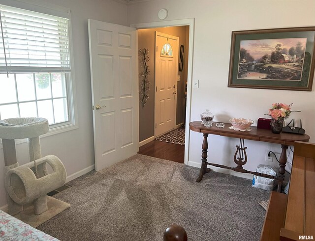 118 Edlen Ln, Jacksonville, IL 62650 - photo 42