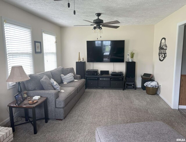 118 Edlen Ln, Jacksonville, IL 62650 - photo 44
