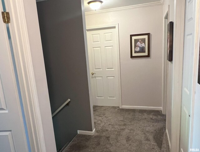 118 Edlen Ln, Jacksonville, IL 62650 - photo 62