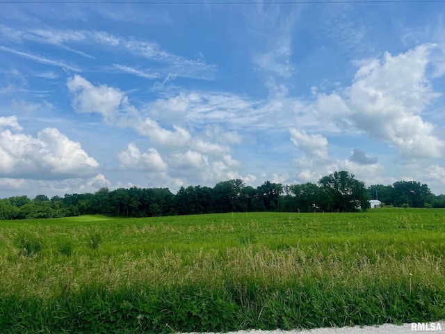 13570 Chambers Rd, Petersburg, IL 62675 - view of wooded area with a view of countryside