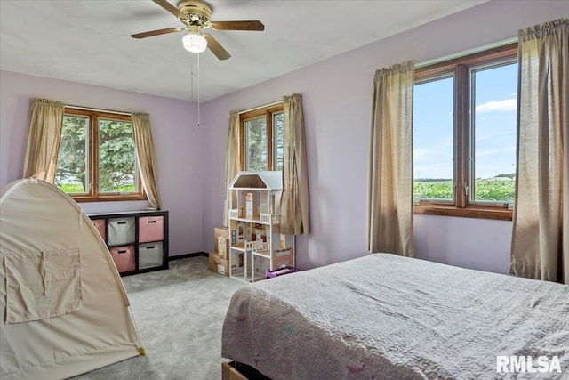 10918 Kossieck Rd, Blue Mound, IL 62513 - photo 26