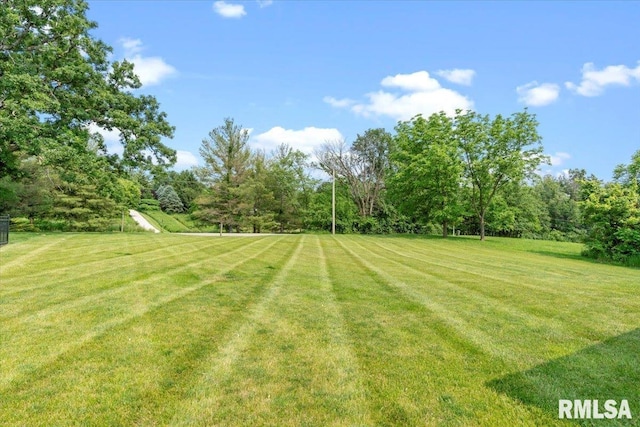 5408 Cromwell Pl, Springfield, IL 62711 - view of grassy yard
