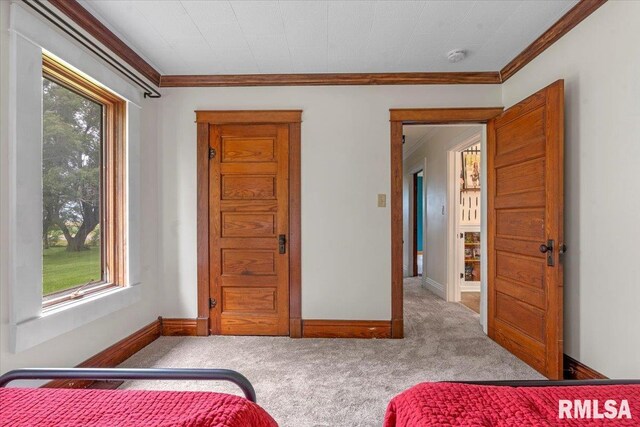 240 Mine Ave, Girard, IL 62640 - bedroom with ornamental molding and carpet floors