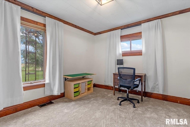 240 Mine Ave, Girard, IL 62640 - home office with carpet floors and crown molding
