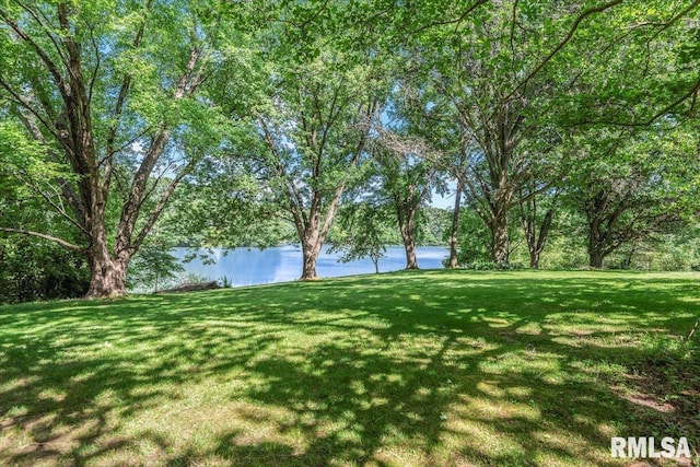 2996 Hazlett Rd, Springfield, IL 62707 - photo 61
