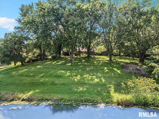 2996 Hazlett Rd, Springfield, IL 62707 - photo 62