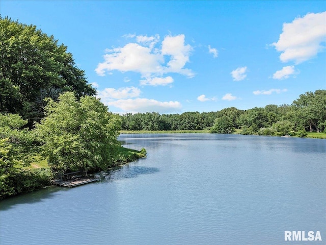 2996 Hazlett Rd, Springfield, IL 62707 - photo 63