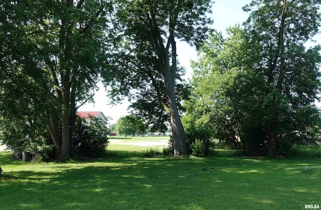 1024 Johnston St, Galesburg, IL 61401 - photo 5