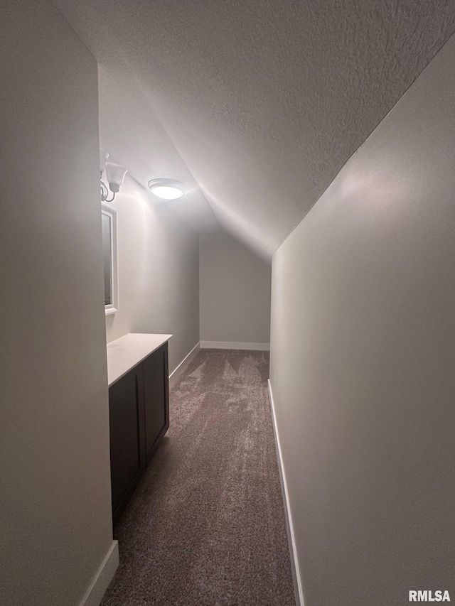 2016 Chestnut St, Quincy, IL 62301 - additional living space featuring vaulted ceiling, dark colored carpet, and a textured ceiling