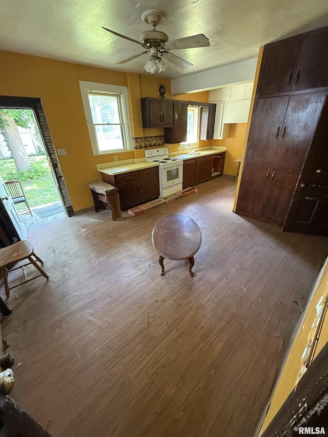 342 W Reynolds St, Springfield, IL 62702 - kitchen featuring white electric stove, wood finished floors, ceiling fan, light countertops, and dark brown cabinets