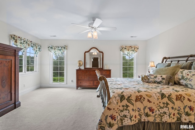 4 Fox Pt, Rochester, IL 62563 - photo 45