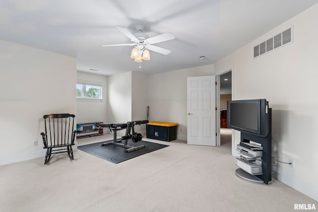 4 Fox Pt, Rochester, IL 62563 - photo 53