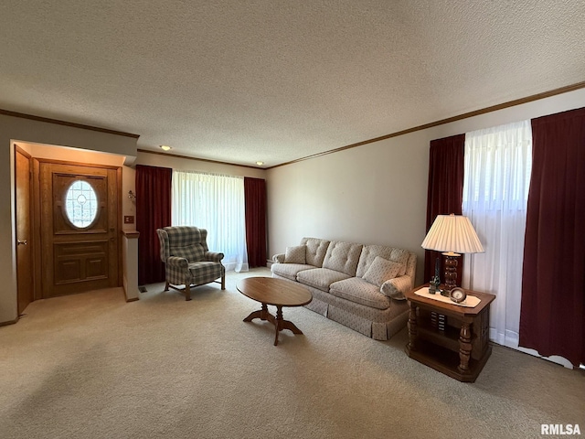 597 Walnut St, Knoxville, IL 61448 - carpeted living area featuring crown molding and a textured ceiling