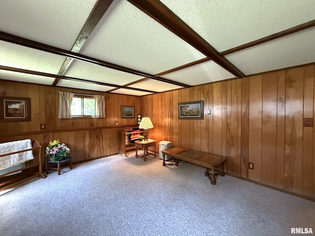597 Walnut St, Knoxville, IL 61448 - sitting room with carpet flooring, a textured ceiling, and beam ceiling