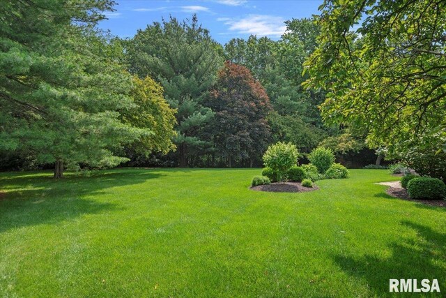 828 Coventry Pt, Springfield, IL 62702 - view of grassy yard