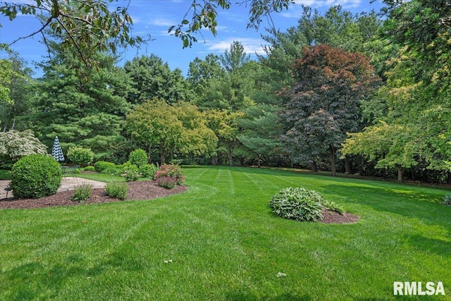 828 Coventry Pt, Springfield, IL 62702 - view of green lawn