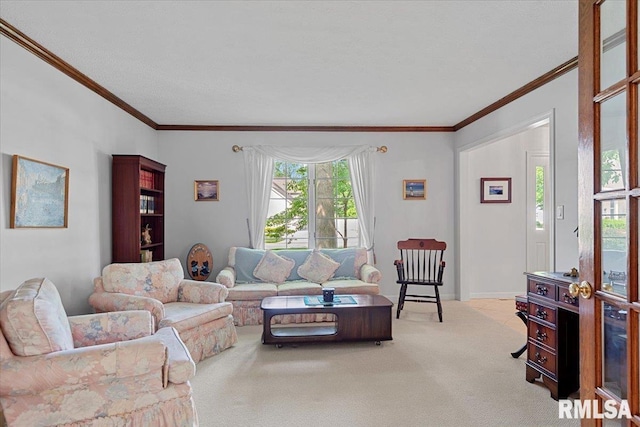 828 Coventry Pt, Springfield, IL 62702 - living area featuring crown molding and carpet floors