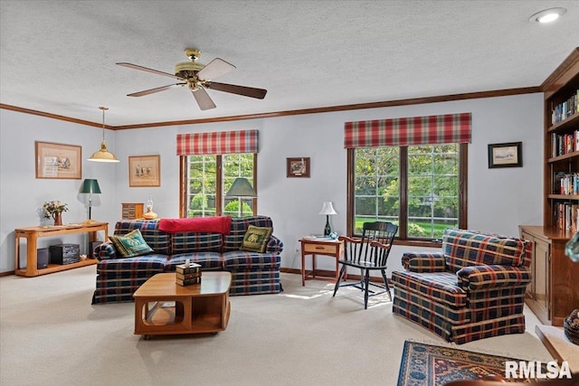 828 Coventry Pt, Springfield, IL 62702 - living room featuring ceiling fan, carpet flooring, ornamental molding, and a textured ceiling