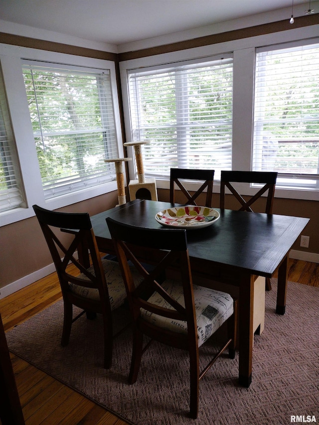 19784 Baldwin Beach Rd, Havana, IL 62644 - photo 22