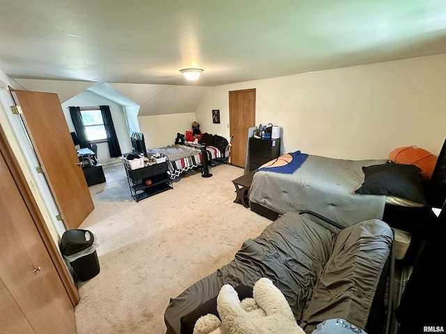 3 Ivywood Dr, Jacksonville, IL 62650 - photo 34