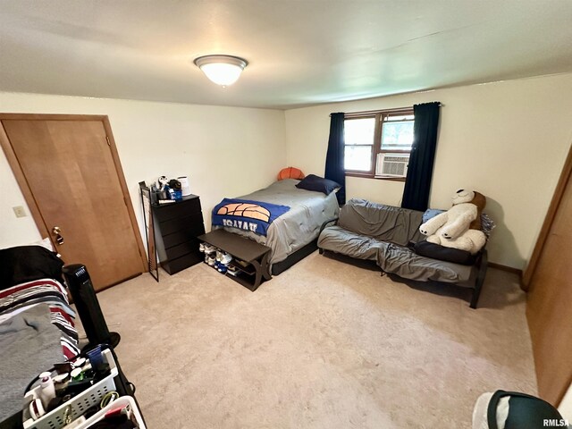 3 Ivywood Dr, Jacksonville, IL 62650 - photo 36