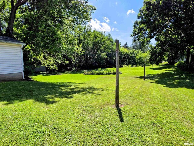 305 S Adams St, Athens, IL 62613 - photo 31