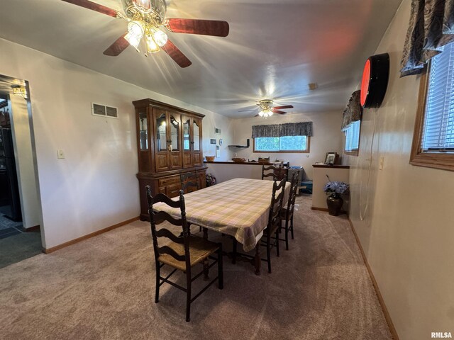 107 Trojan Ave, Avon, IL 61415 - photo 22