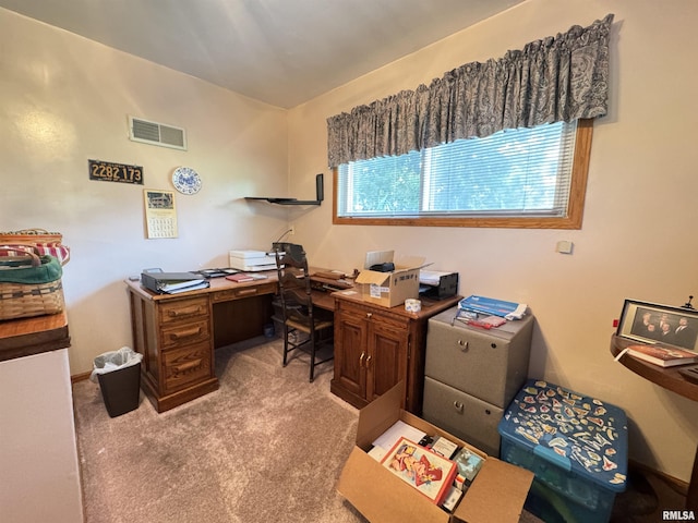 107 Trojan Ave, Avon, IL 61415 - photo 24