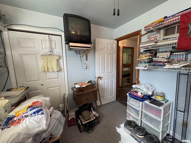 107 Trojan Ave, Avon, IL 61415 - photo 48