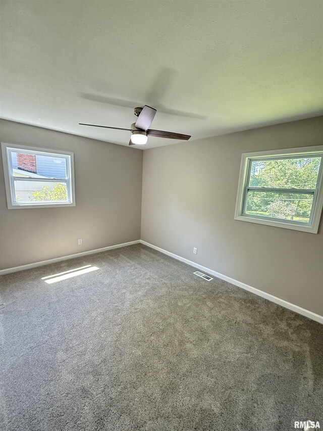 1226 Curtis Creek Rd, Quincy, IL 62301 - photo 15