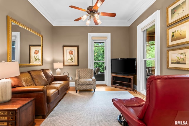 1125 Williams Blvd, Springfield, IL 62704 - living room featuring light wood-type flooring, ceiling fan, and ornamental molding