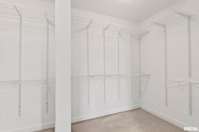 401 Cherry Cir, Williamsville, IL 62693 - spacious closet featuring carpet floors
