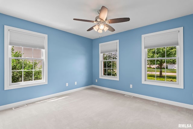 401 Cherry Cir, Williamsville, IL 62693 - empty room featuring plenty of natural light, carpet, and ceiling fan
