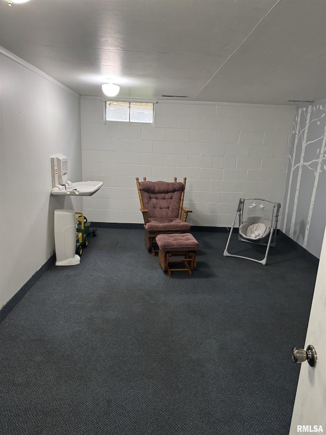 925 S 10th St, Havana, IL 62644 - sitting room featuring carpet and concrete block wall