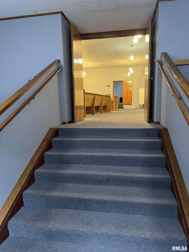 925 S 10th St, Havana, IL 62644 - stairs featuring carpet and a drop ceiling