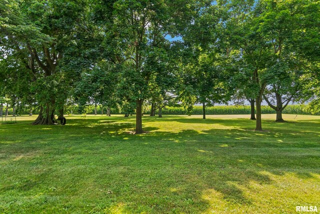 16969 Peoria St, Athens, IL 62613 - photo 52