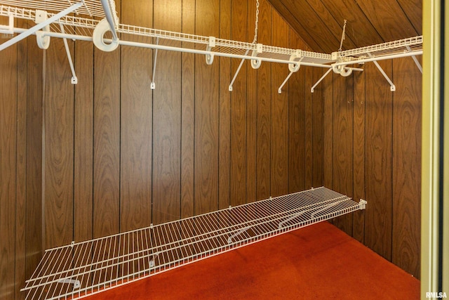 925 Payson Ave, Quincy, IL 62301 - spacious closet featuring carpet