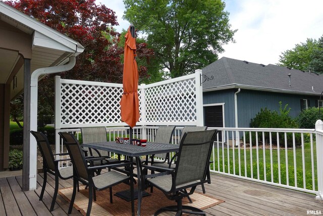 19 Hiawatha Ln, Galesburg, IL 61401 - photo 11