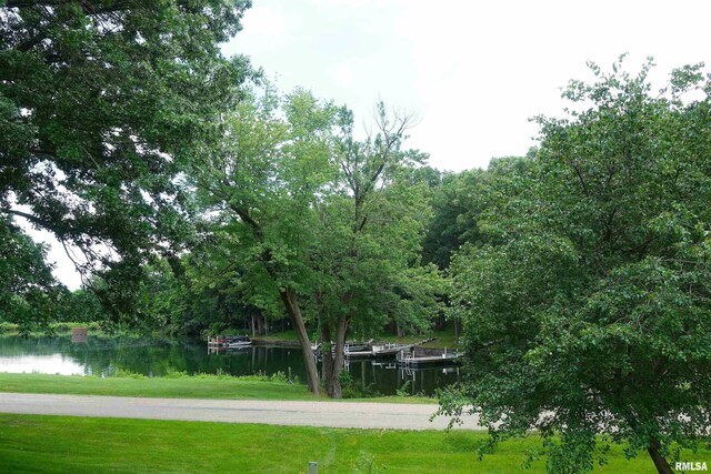 19 Hiawatha Ln, Galesburg, IL 61401 - photo 16